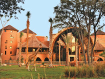 Disney's Animal Kingdom Lodge