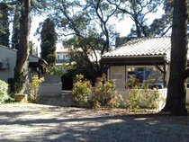 Les Cedres