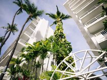 Oasis Hotel Waikiki