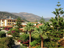 Hotel Cactus Beach
