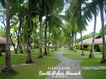 Oceanica Resort Panglao