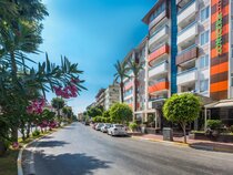 Lonicera City