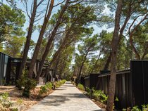 Pinadria Adriatic Coast