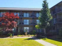 Best Western Northgate Nanaimo Hotel