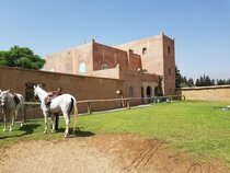 Palais Musee Claudio Bravo
