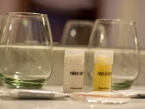 Nativo Boutique Hotel