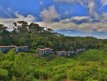 The Rainforest Ecolodge