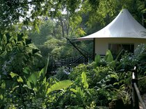 Four Seasons Tented Camp Golden Triangle