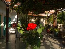 Dimitris Resort Hotel