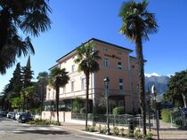 Olivo