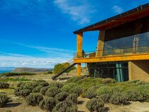 Design Suites Calafate