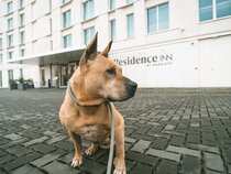 Residence Inn Ghent