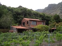 del Lomo