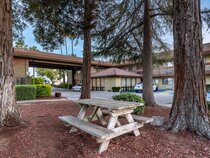 Best Western Orchard Inn