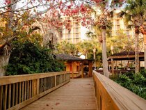 Marriott Orlando Airport