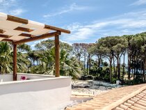 New Barcavela