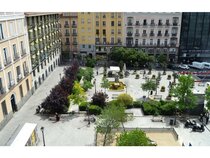 Motion Chueca