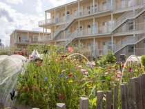Waterfront Cabins