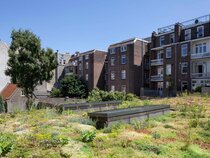 Conscious Vondelpark