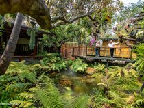 Royal Train Garden Resort