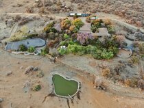 Last Word Madikwe