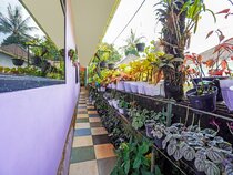 Desa Wisata Lembah Gunung Tumpeng By OYO