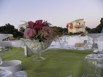 Irida Resort