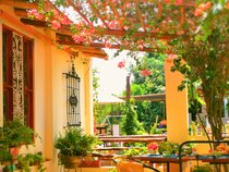 Luchy's Country House