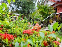 Andaman Seaside Resort