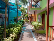 Hotel Cocoplum Beach