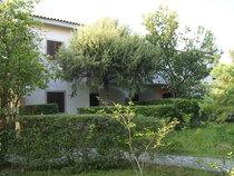 Gli Ontani