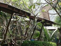 Cocohut Beach Resort & Spa