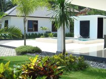 Dream Estate