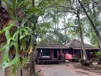 Pang Mai Resort