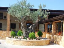 Tenuta Madre Terra
