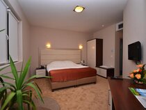 Hotel Lebed