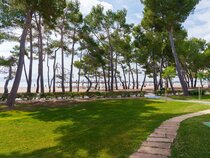 Lime Playa de Alcudia