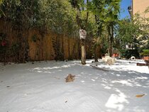 Villa Angelica
