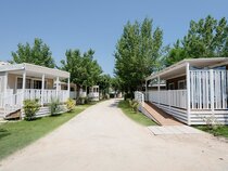Le Mimose Family Resort