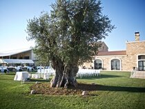 Masseria Stali