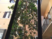 Dulcis Inn Pantheon