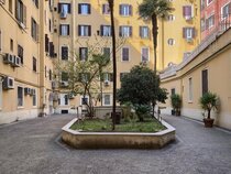 Vatican's Roof