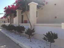 Al Mare Villas — Kiotari