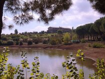 Popilia Country Resort