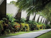 Hamilton Island Palm Bungalows