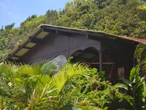 Piton