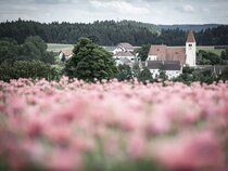 Faulenzerhotel