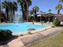 Desert Isle of Palm Springs
