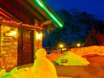 Hotel Des Alpes