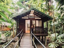 Daintree Wilderness Lodge